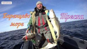 ЗА ТРЕСКОЙ/ТЕРИБЕРКА