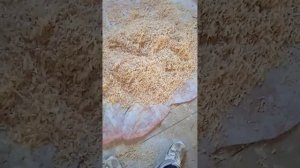 Утеплитель из опилок