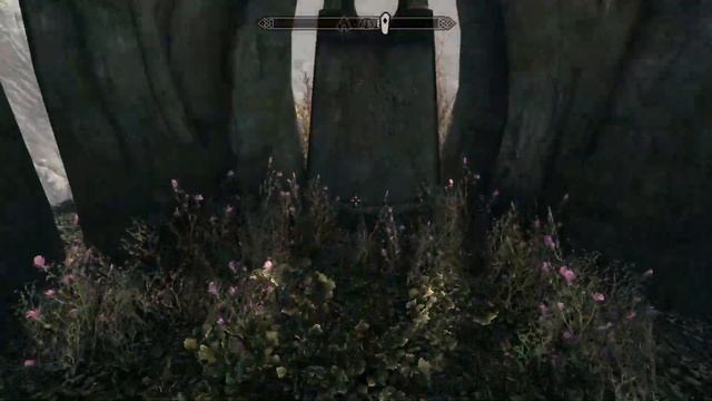 Skyrim Ну типа вот так эта штука работает смотреть онлайн