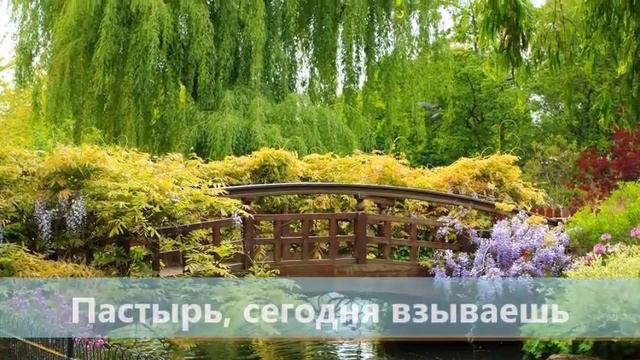 Где ты (христианская песня) смотреть онлайн