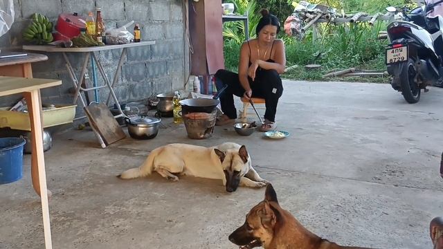 Всё обо всём