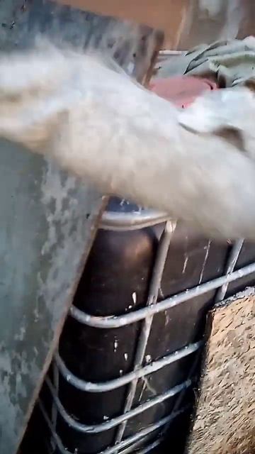 геотекстиль+цемент продолжение смотреть онлайн