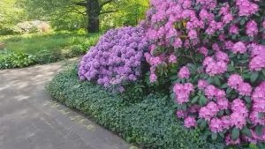 Влог_Первого_Дня_Лета. Рената Смирнова. 2025