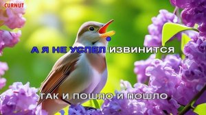 Formatia Curnut (Группа Курнуц) - Соловушка тихо рыдал - КАРАОК