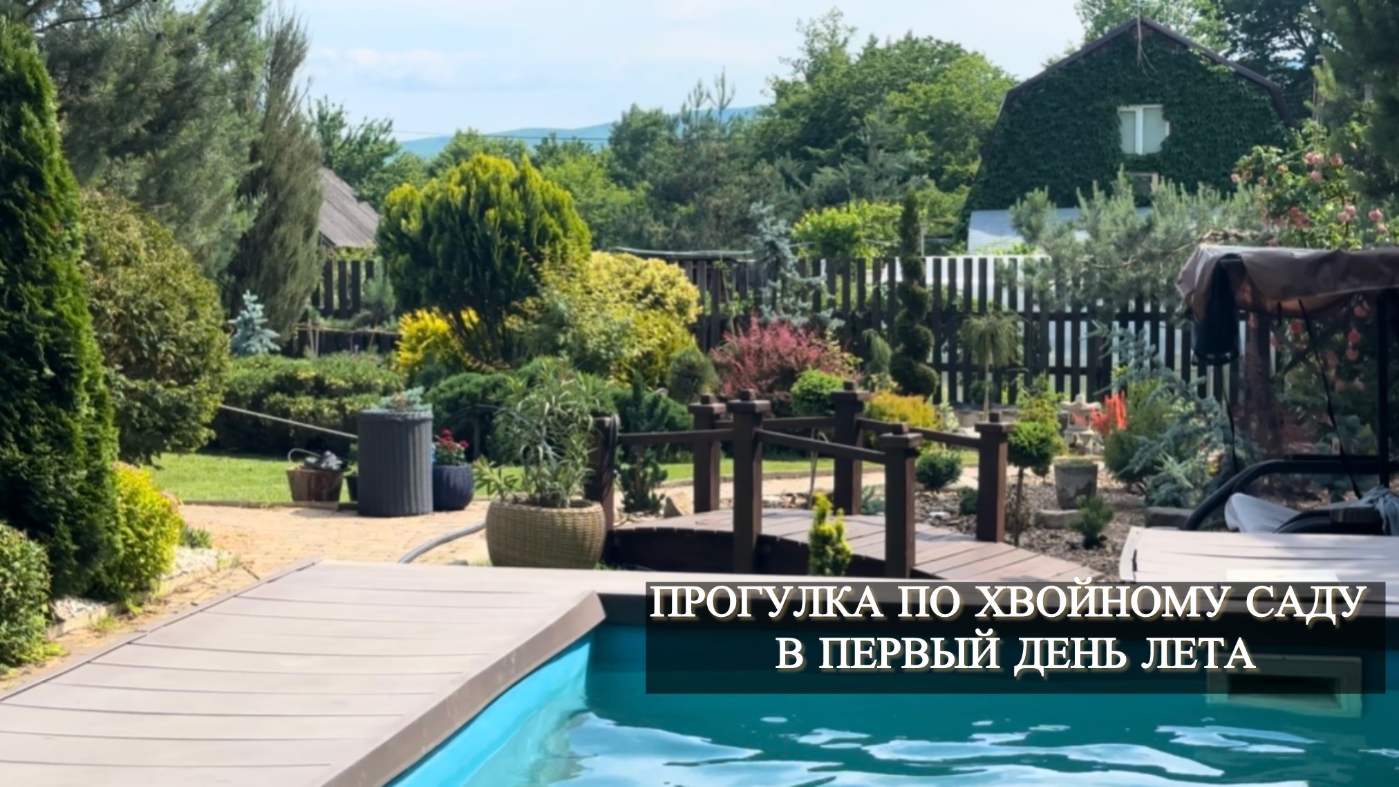 Прогулка по хвойному саду в первый день лета. смотреть онлайн