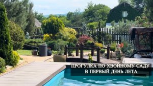 Прогулка по хвойному саду в первый день лета.