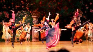 Тщетная  предосторожность 1.02.19 (цыгане)