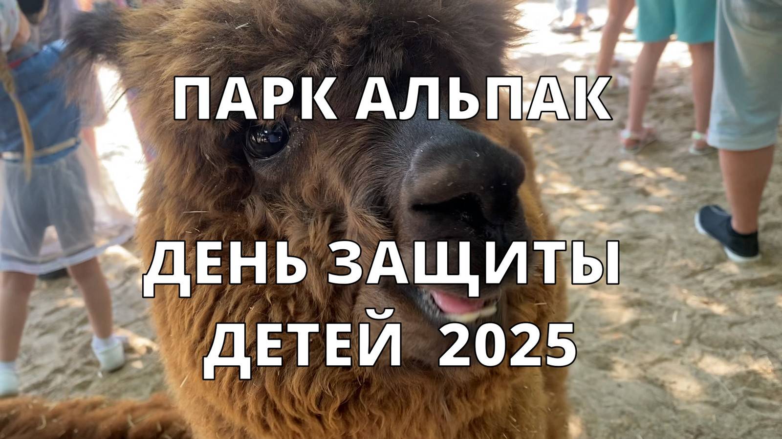 В ГОСТИ К АЛЬПАКАМ! ДЕНЬ ЗАЩИТЫ ДЕТЕЙ 2025