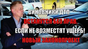 Виновники ДТП останутся без прав, если не возместят ущерб потерпевшему! Новый Законопроект
