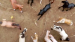 сериал проклятие 5 серия