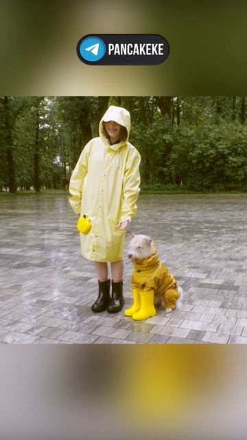 Почему в пустыне можно сойти с ума? #shorts смотреть онлайн