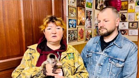 Друзья, обращаемся к Вам за помощью в парке УКРАЛИ ЛЮБИМОГО ПИТОМЦА! Верните пож смотреть онлайн