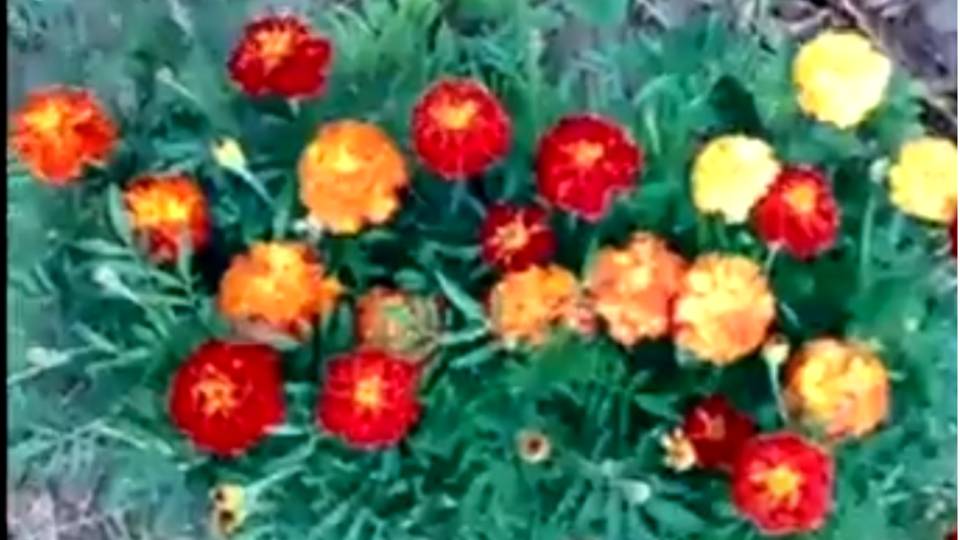 Отчёт по состоянию ИМЕНИЯ на 2 июня 2025 года!! смотреть онлайн