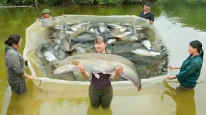 Наловили много крупной рыбы для продажи на местном рынке. Жизнь во Вьетнаме