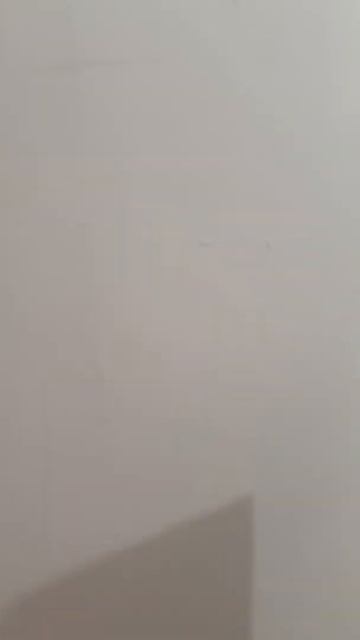 Чем и как шкурить стены? #shorts смотреть онлайн