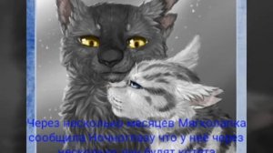 Коты-воители: история Серебрянки(1 часть)