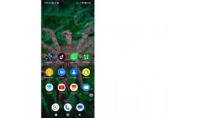 Решенная проблема: Загрузка фотографий и видео WhatsApp н?