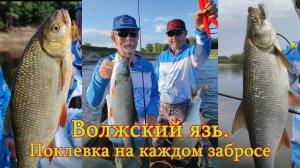 Константин Кузьмин. Ловля волжского язя, 2022 год