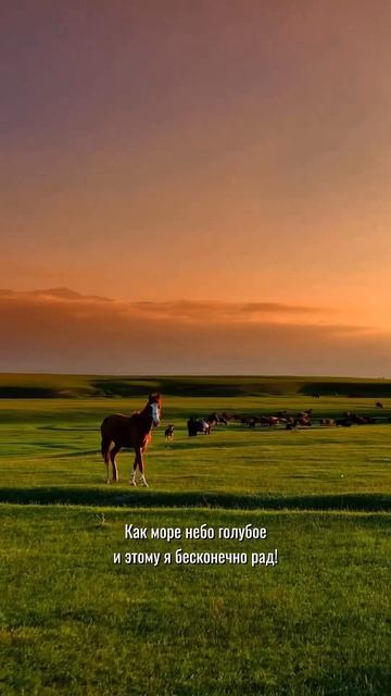 Весна 🌿 смотреть онлайн
