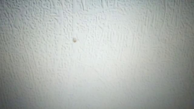 Обои под покраску, какие лучше. смотреть онлайн