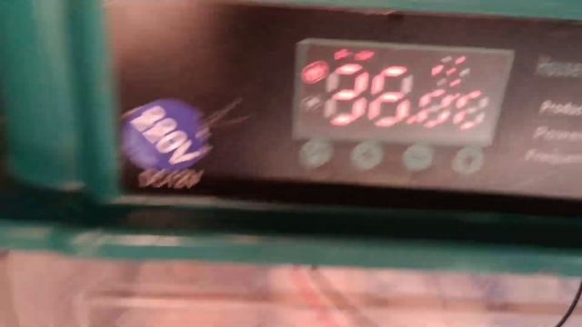 $50 в день на птице. Начало инкубации смотреть онлайн