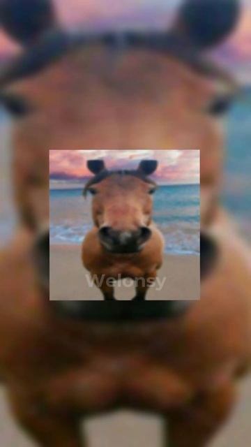 ⬆️Скачать авы в тг ссылка в профиле⬆️ #авы #авыдляпа? смотреть онлайн