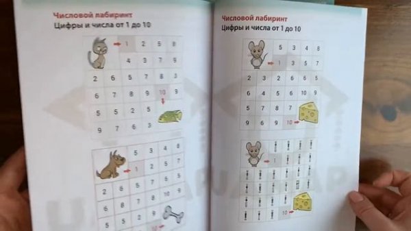 Комплект 1 Ментальная арифметика UAMAP. Прямой счет, счет с формулами 5 (NF, F5)
