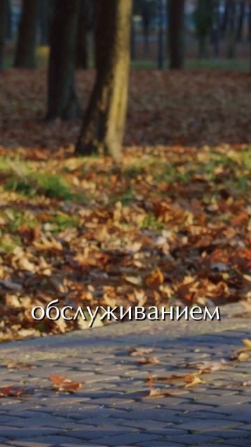 Управляющая компания Terra Vitae смотреть онлайн
