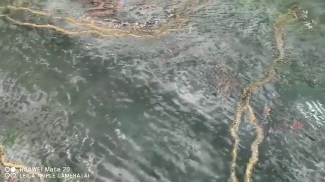 Декоративная штукатурка... смотреть онлайн