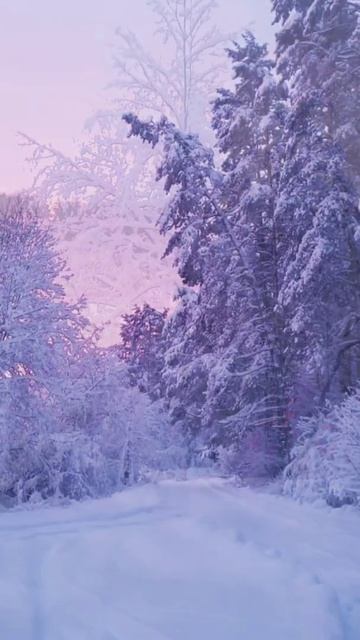 Зимний вечер. Эх! Снова гуляю один... смотреть онлайн