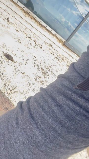 Эта жесть в каждой второй крыше🤬🤮🤮🤮🤮 обследован? смотреть онлайн