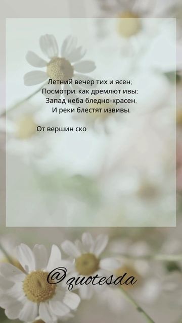 Летний вечер тих и ясен… Фет#shorts смотреть онлайн