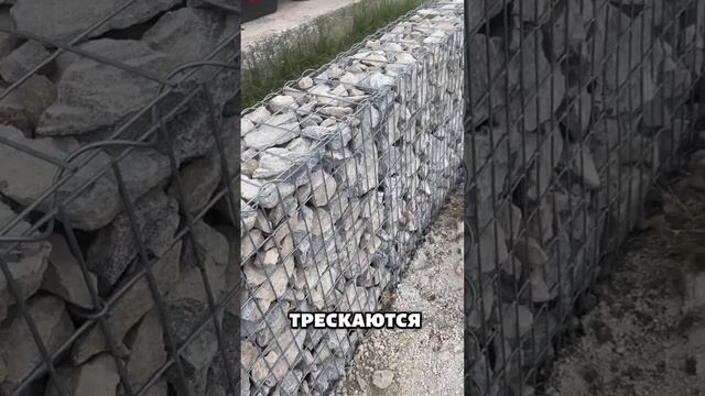 Только признают габион 😱 смотреть онлайн