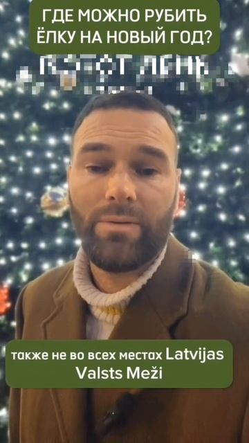 ГДЕ МОЖНО СРУБИТЬ ЕЛОЧКУ НА РОЖДЕСТВО И НОВЫЙ ГОД ЧТОБ смотреть онлайн