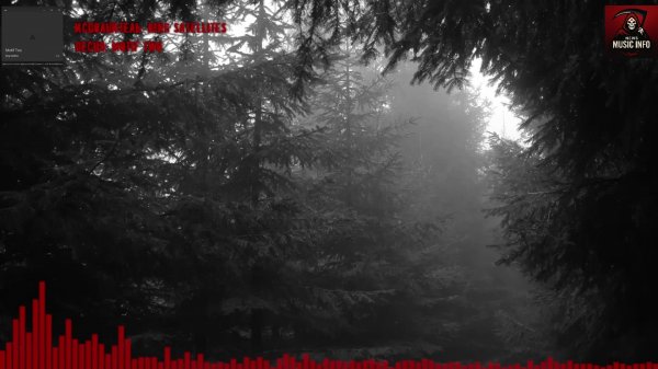 Music Info News 02.06.2025