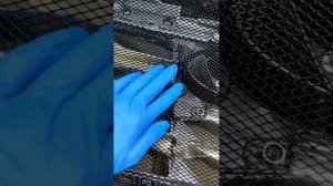 Защита радиатора с помощью сетки, Hyundai Tucson🚙 в HAMATUNING