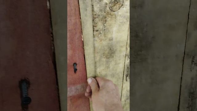 Всё получилось, подошли доски . Зашил окно птичника