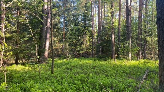 Марафон Природы 2 день. смотреть онлайн