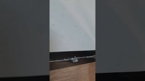 нанесение герметика между кафелем и ламинатом