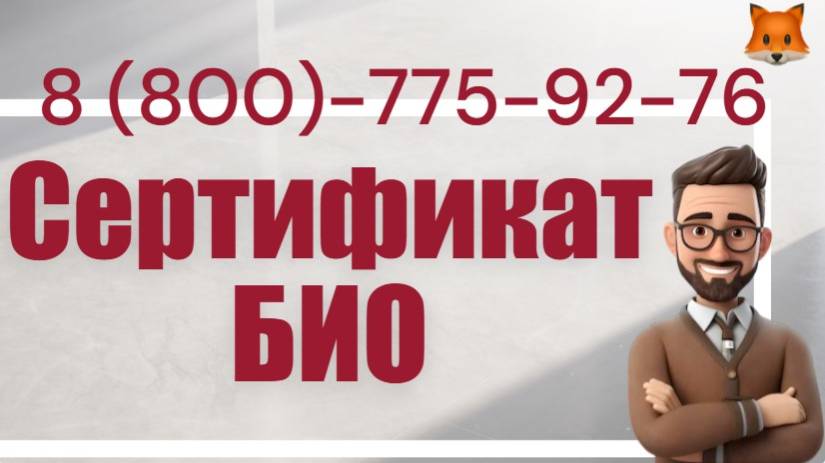 Сертификация БИО в Санкт-Петербурге смотреть онлайн