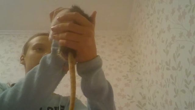 ПоПочему мой канал называется мышеловка? смотреть онлайн