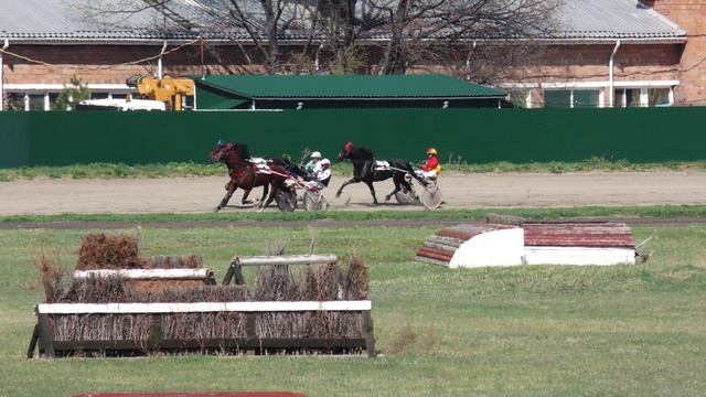 07.05.2025г.Абаканский Ипподром Приз Весенний для лошадей орловской рысистой породы старшего возраст