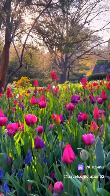 Райский сад весна"музыка" смотреть онлайн