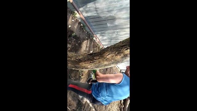 объект 1⁕ часть 3 ⁕ мусор/корчевание /опалубка ⁕дни 5/6/ смотреть онлайн