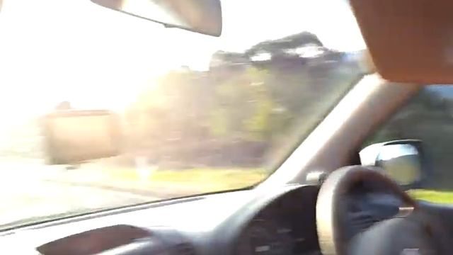 Живые кенгуру ЕСТЬ смотреть онлайн