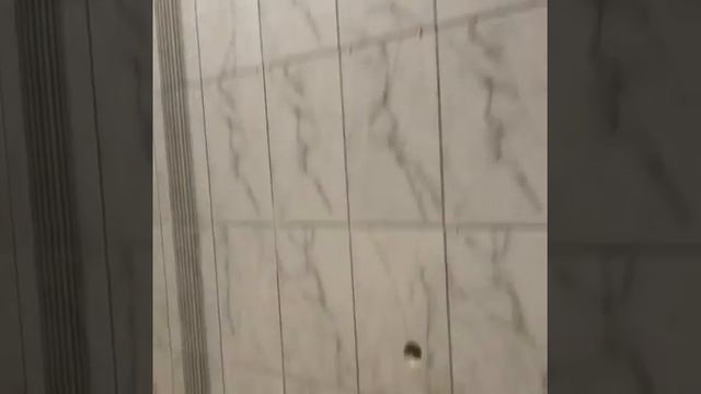 Укладка плитки на стену в Самаре под ключ смотреть онлайн