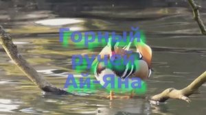 Горный ручей Ай-Яна