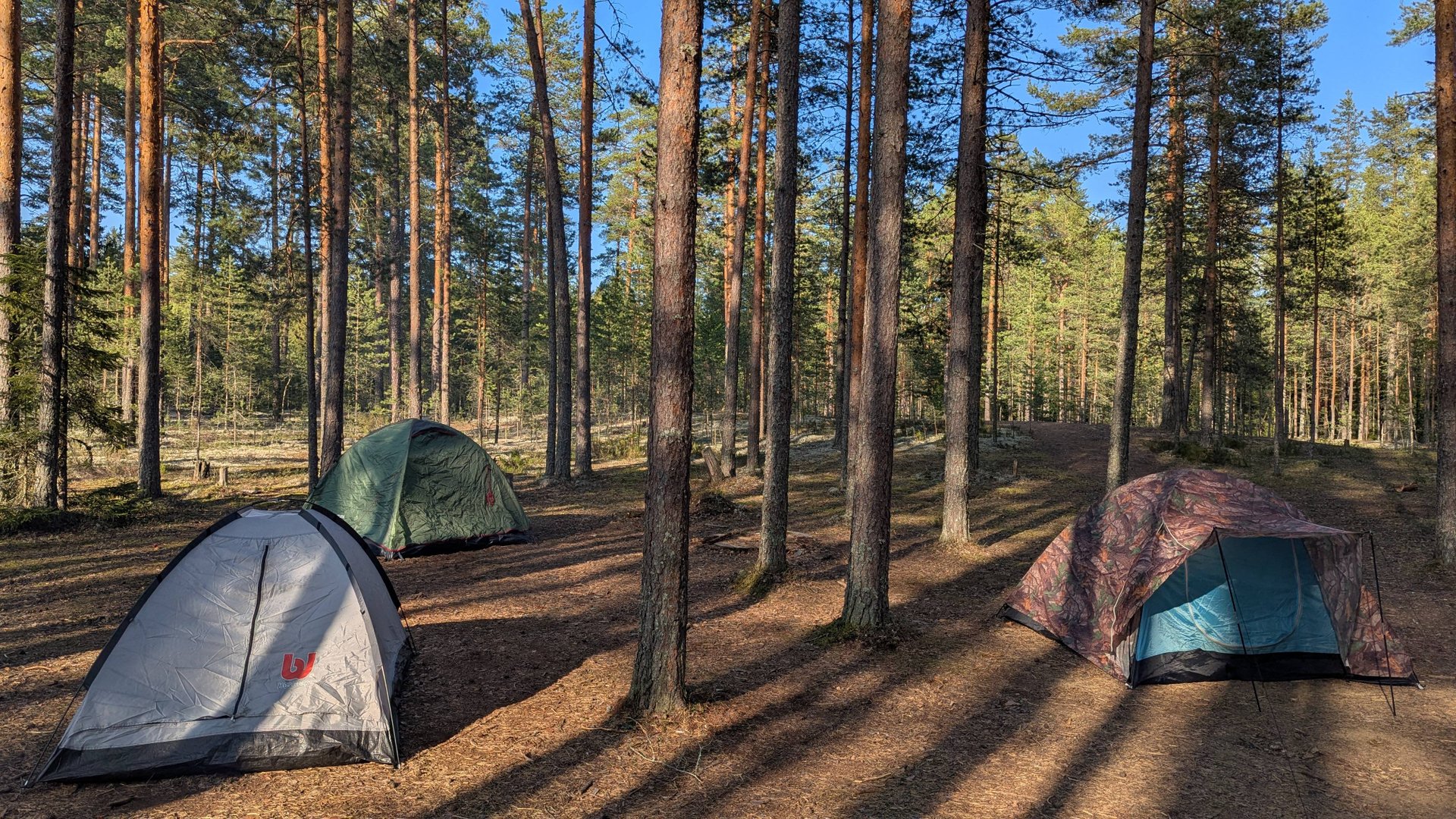 В поход! Петяярви 2025 смотреть онлайн