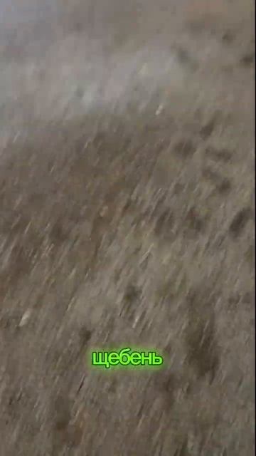 Почему по середине аллее мелкая щебень?#shorts смотреть онлайн