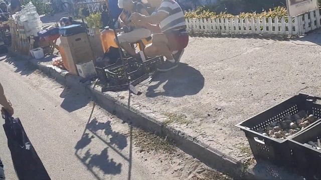 Что есть на базаре 8 сентября 2024 г. смотреть онлайн